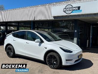 Damaged car Tesla Model Y RWD 58 kWh FSD Computer 3 2023/6