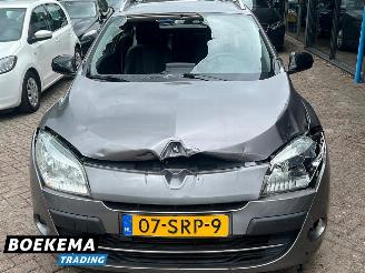 Renault Mégane Estate 2.0 Bose Clima Cruise Trekhaak picture 5