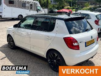 Skoda Fabia 1.4 RS 179PK DSG Open-dak Navigatie Clima picture 3