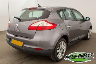 Renault Mégane 1.6 Celsium picture 4