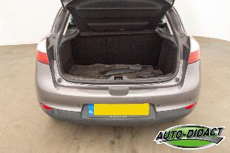 Renault Mégane 1.6 Celsium picture 28