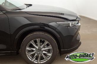 Mazda CX-5 2.0 SAG Automatic 2WD 165 Takumi picture 44
