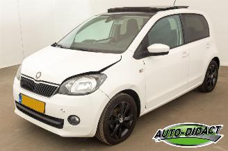 Auto incidentate Skoda Citigo 1.0 Airco Open Pano Greentech Arctic Air 2013/4