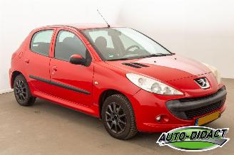 Peugeot 206 1.1 XR picture 2