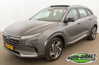 Avarii autoturisme Hyundai Nexo FCEV Plus Pack 81.540 km Pano Clima Leder Camera 2019/9