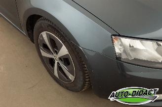 Skoda Octavia 1.6 TDI Clima Navi Ambition picture 29