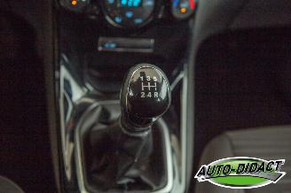 Ford Fiesta 1.6 TDCi Clima Lease Titanium picture 9