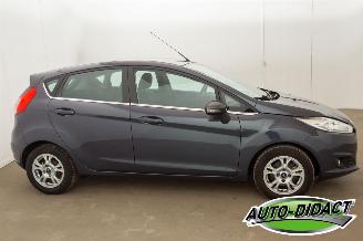 Ford Fiesta 1.6 TDCi Clima Lease Titanium picture 39
