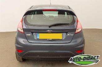 Ford Fiesta 1.6 TDCi Clima Lease Titanium picture 36