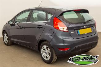 Ford Fiesta 1.6 TDCi Clima Lease Titanium picture 3