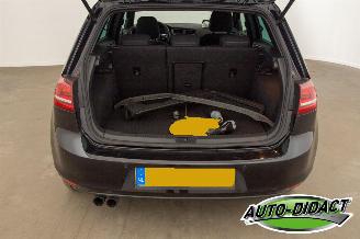 Volkswagen Golf 1.4 TSI GTE Automaat Clima Navi picture 43