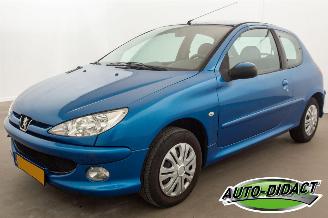 krockskadad bil auto Peugeot 206 1.4 Forever 2007/7