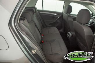 Volkswagen e-Golf 36 kWh Navi Camera Clima picture 23