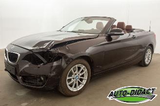 Coche accidentado BMW 2-serie Cabrio 218i Navi Leder Airco 2015/7