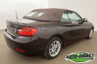 BMW 2-serie Cabrio 218i Navi Leder Airco picture 8