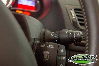 Renault Mégane 1.4 TCe Open Pano Clima Bose picture 19