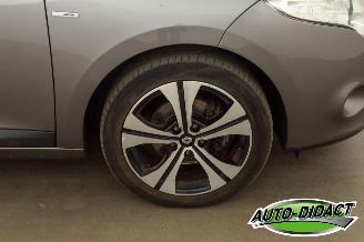 Renault Mégane 1.4 TCe Open Pano Clima Bose picture 32