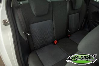 Ford Fiesta 1.25 Airco Trend picture 21