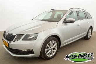 Avarii autoturisme Skoda Octavia 1.5 TSI Automaat Navi Clima Sport Business 2020/3