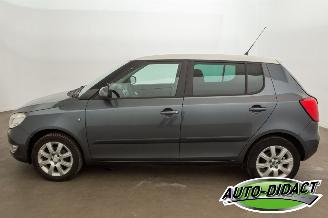 Skoda Fabia 1.2 TSI Airco Ambition picture 32