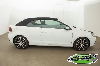 Volkswagen Golf Cabrio 1.2 TSI Navi Camera Clima BlueMotion picture 41