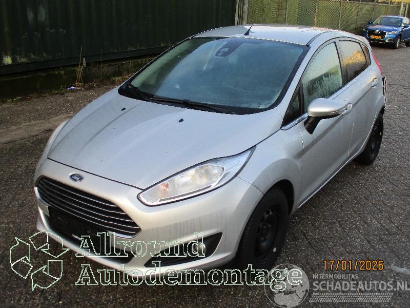 Ford Fiesta Fiesta 6 (JA8) Hatchback 1.0 EcoBoost 12V 100 (SFJA(Euro 5)) [74kW]  (=
01-2013/06-2017)