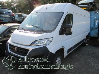 Autoverwertung Fiat Ducato Ducato (250) Van 2.3 D 130 Multijet (F1AGL411D(Euro 6)) [96kW]  (08-20=
06/...) 2017