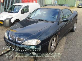 Sloopauto Renault Mégane Megane (EA) Cabrio 1.6 16V Sport (K4M-701) [79kW]  (03-1999/07-2003) 2003