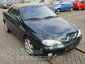 Renault Mégane Megane (EA) Cabrio 1.6 16V Sport (K4M-701) [79kW]  (03-1999/07-2003) picture 2
