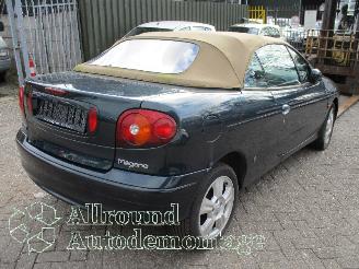 Renault Mégane Megane (EA) Cabrio 1.6 16V Sport (K4M-701) [79kW]  (03-1999/07-2003) picture 13