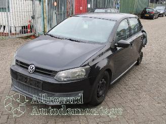 Vrakbiler auto Volkswagen Polo Polo V (6R) Hatchback 1.2 12V (CGPB(Euro 5)) [44kW]  (06-2009/05-2014)= 2009/8