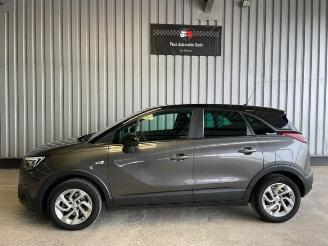 Opel Crossland (X) Edition Autom / R-Kamera / AHK picture 2