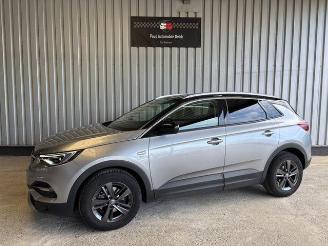 occasione autovettura Opel Grandland (X) 120 Jahre R-Kamera / Navi / LED 2019/5