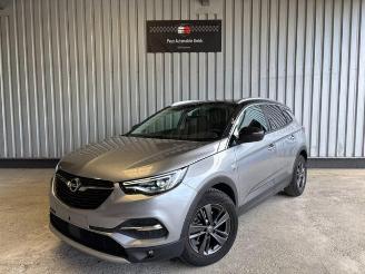Opel Grandland (X) 120 Jahre R-Kamera / Navi / LED picture 2