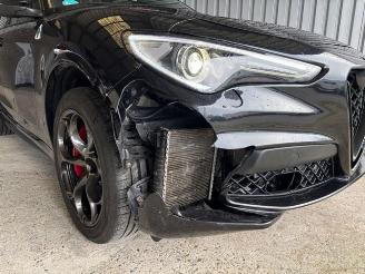 Alfa Romeo Stelvio Quadrifoglio Q4 Carbon / Pano / VOLL picture 13