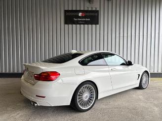 Alpina   picture 6