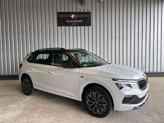 Skoda Kamiq Selection Tour DSG picture 8