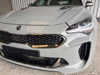 Kia Stinger GT 4WD Panorama / Leder picture 15