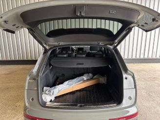 Audi SQ5 3.0 TFSI Quattro Panorama / VOLL picture 15