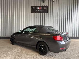 BMW 2-serie 0d Advantage Cabriolet LED / Navigation picture 5
