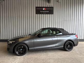 bruktbiler auto BMW 2-serie 0d Advantage Cabriolet LED / Navigation 2018/9