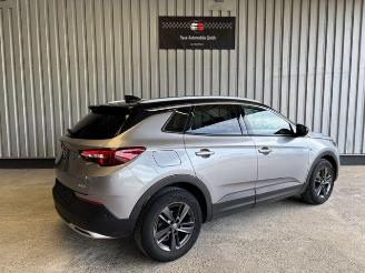 Opel Grandland (X) 120 Jahre R-Kamera / Navi / LED picture 6