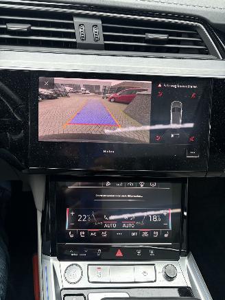 Audi E-tron 55 Quattro Advanced Pro Line Plus 95kWh picture 52