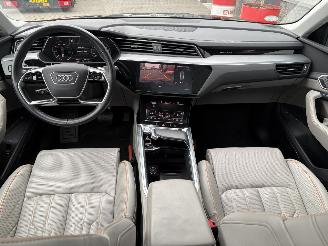 Audi E-tron 55 Quattro Advanced Pro Line Plus 95kWh picture 39