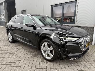 Audi E-tron 55 Quattro Advanced Pro Line Plus 95kWh picture 18