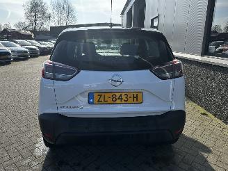 Opel Crossland 1.2 120 Jaar Edition picture 20