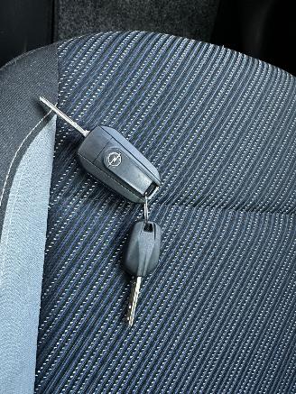 Opel Crossland 1.2 120 Jaar Edition picture 27