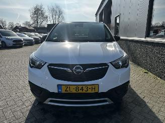 Opel Crossland 1.2 120 Jaar Edition picture 9