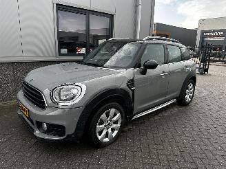 Mini Countryman 1.5 Cooper Salt picture 11