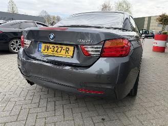 BMW 4-serie 420i Centennial High Executive Cabrio picture 13